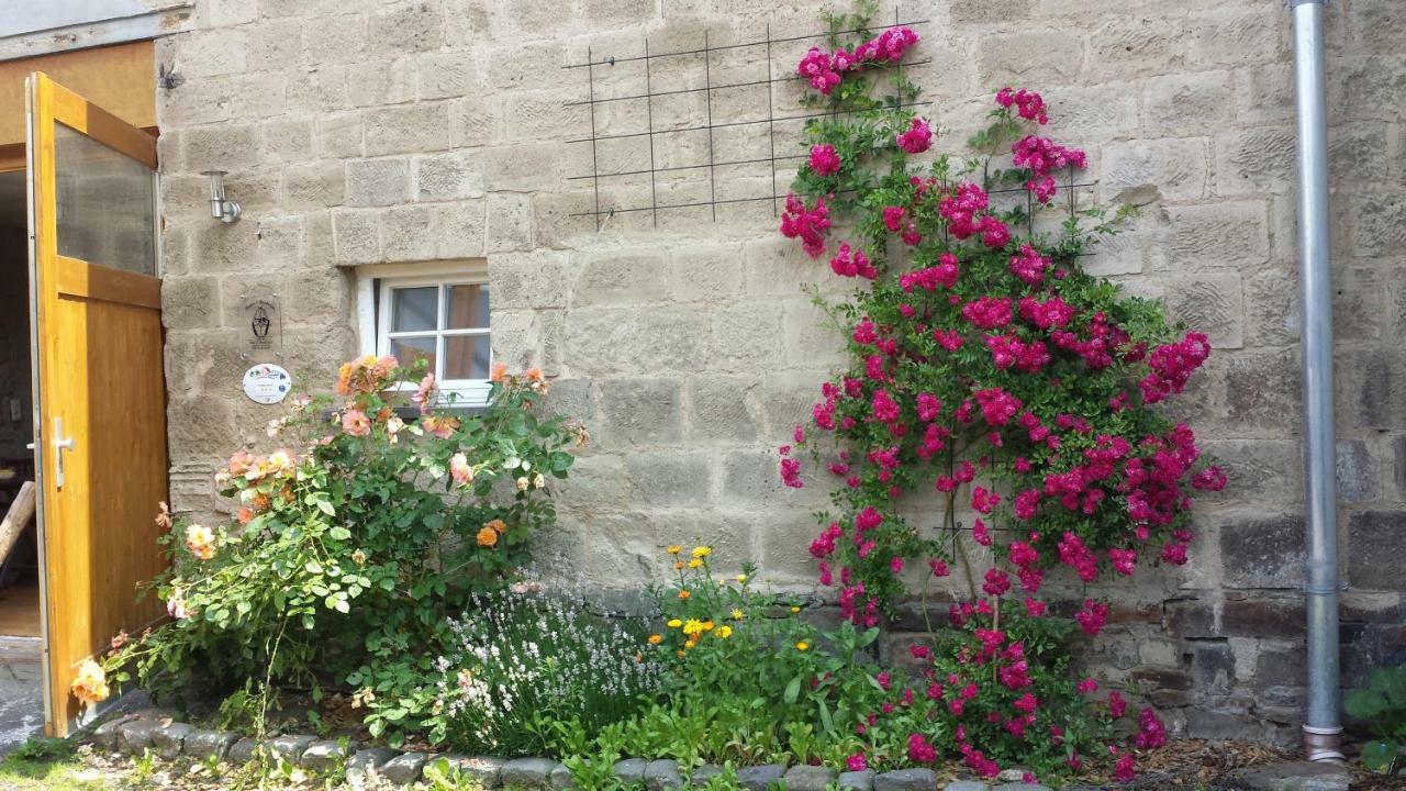 Marcos Heuboden Bed & Breakfast Oberzissen Exterior foto